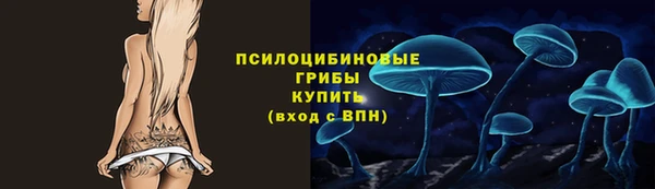 бошки Верея